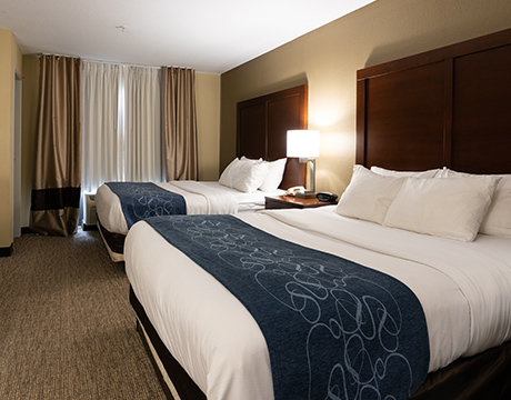 Hotel Amenities